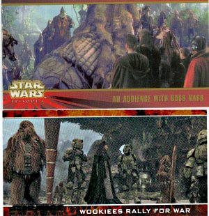 Widevision Card Samples