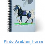 Watercolor Pencil Horse Journal