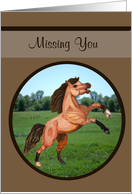 Miss You buckskin pony